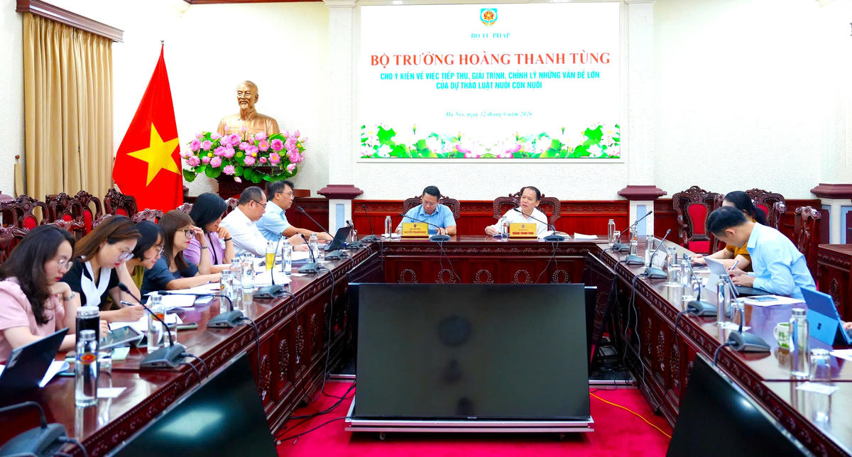 Quang cảnh buổi làm việc.