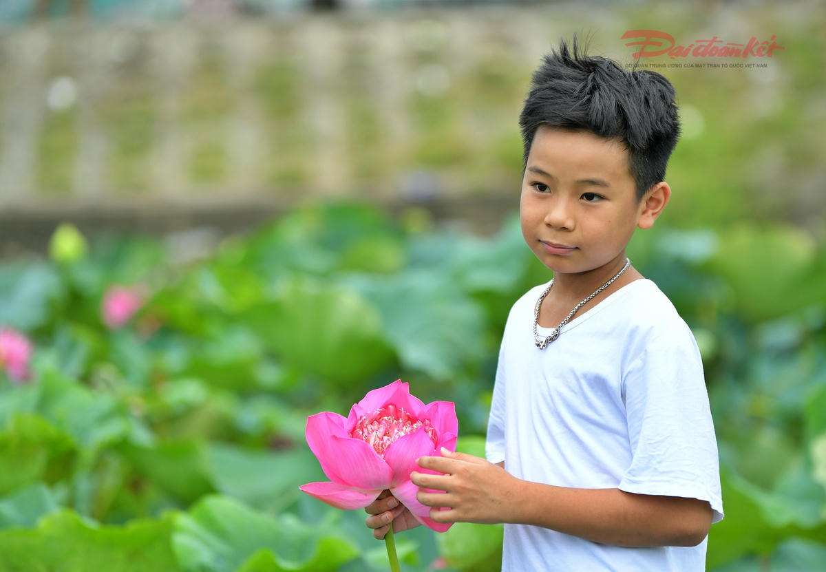 chup-anh-sen-ho-tay-6.jpg