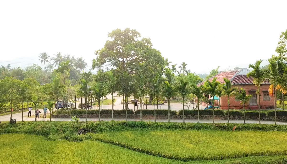 Cánh đồng lúa tại làng cổ Lộc Yên. Ảnh: TT.