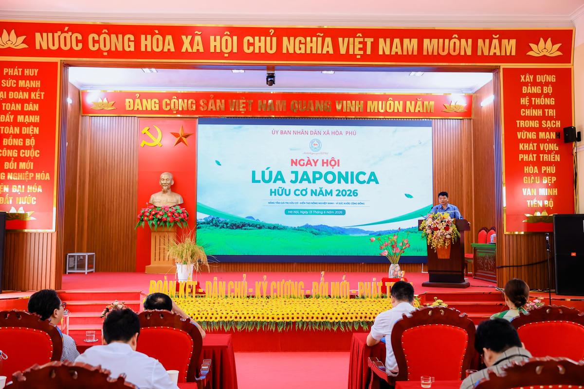 Toàn cảnh Ngày hội
