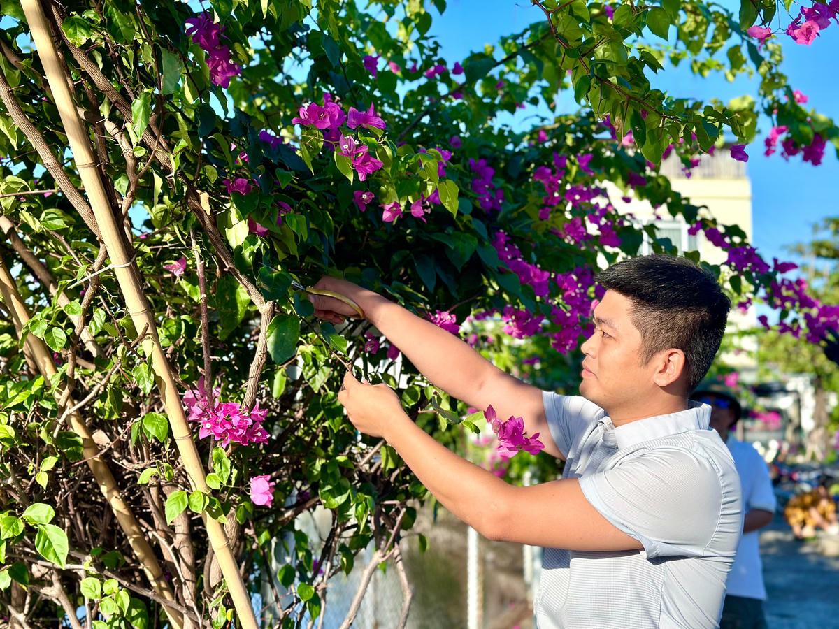 Ông Nguyễn Linh - Trưởng Ban Công tác Mặt trận khu phố 8 cùng người dân tỉa cành, chăm sóc hoa trồng trên tuyến đường hoa Phạm Ngọc Thạch (TP Quảng Ninh).