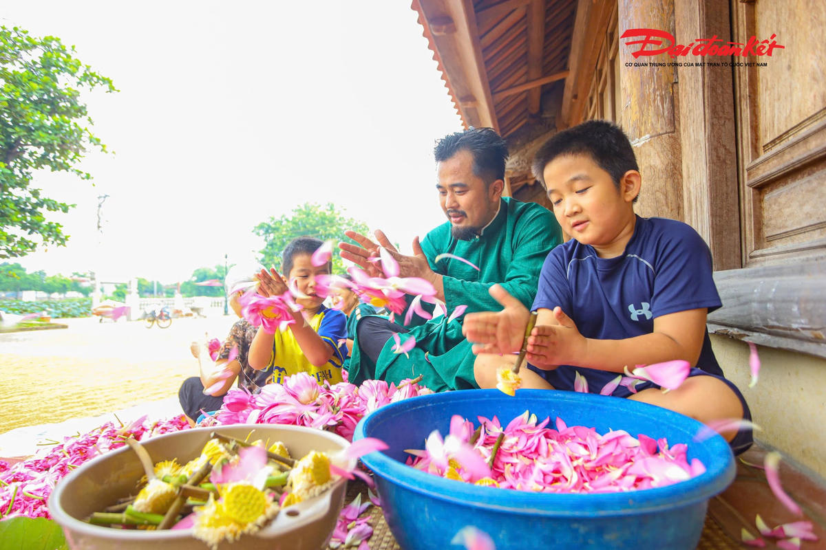 Sen Hà Nội vào mùa, nghề ướp trà truyền thống vào vụ