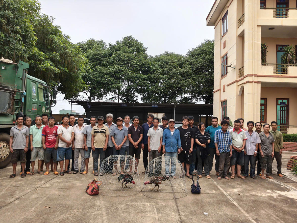 Các đối tượng tham gia dánh bạc bị bắt giữ. Ảnh: CA Gia Lai.