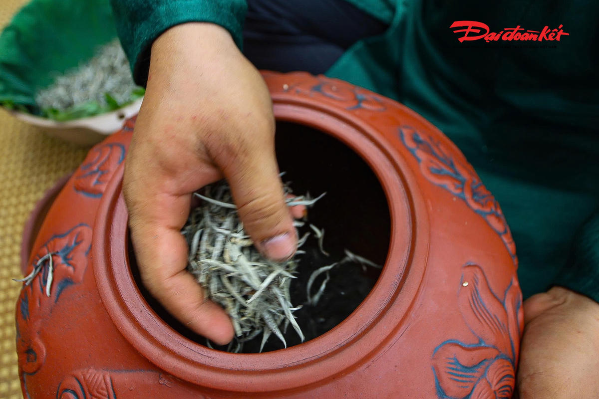 Sen Hà Nội vào mùa, nghề ướp trà truyền thống vào vụ