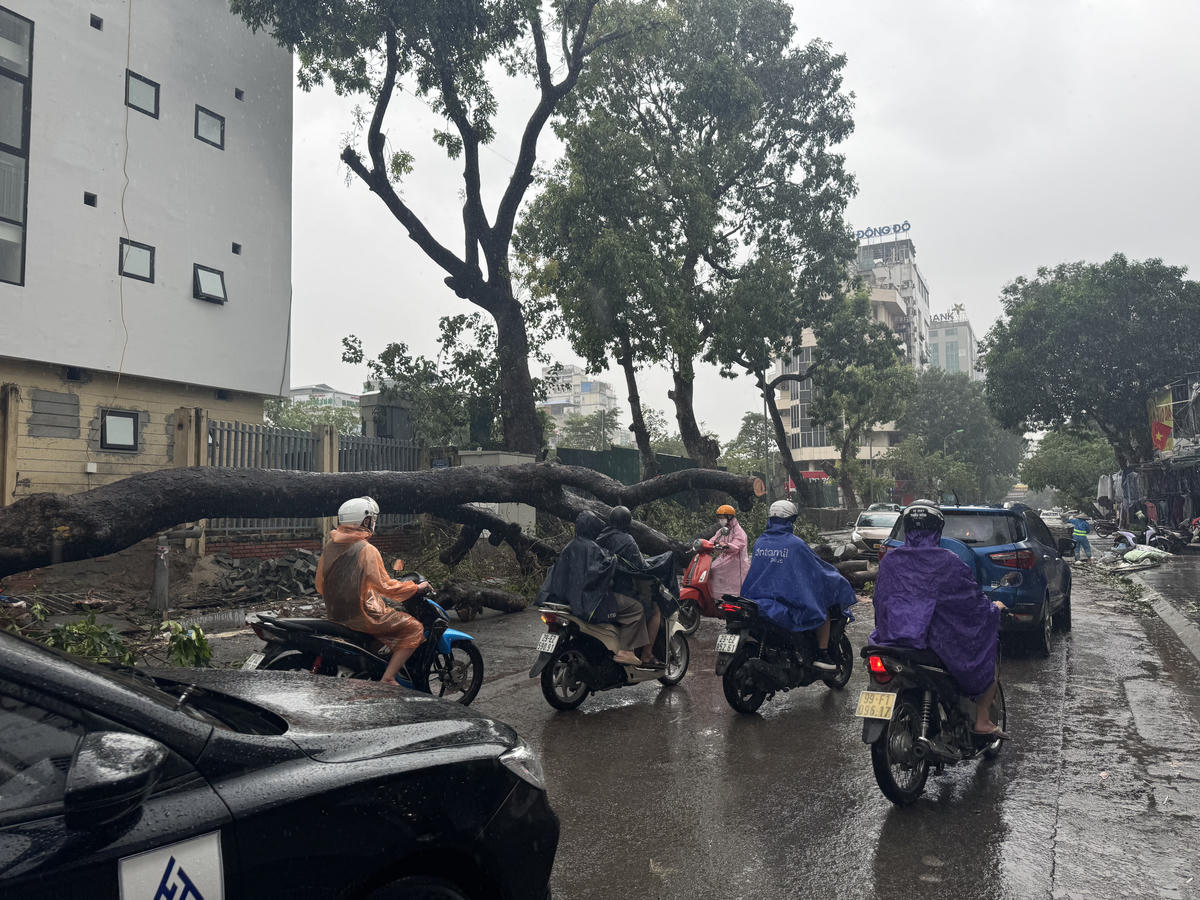 Đề phòng xuất hiện các cơn bão rất mạnh và gây thiệt hại lớn. Ảnh: Lê Minh.