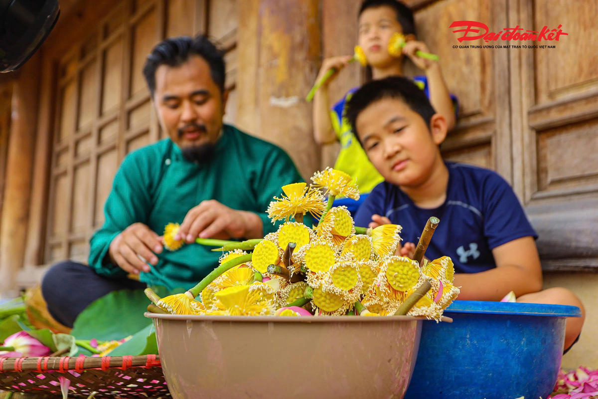 Sen Hà Nội vào mùa, nghề ướp trà truyền thống vào vụ