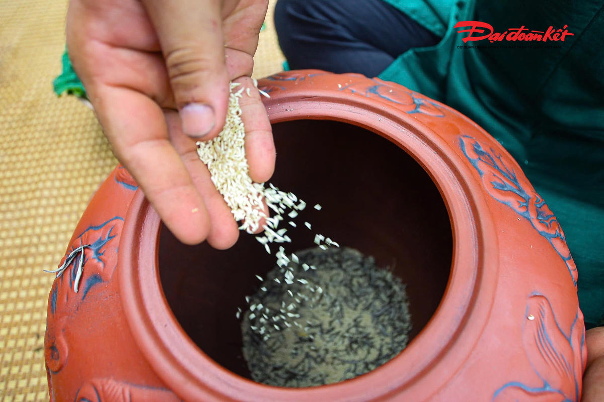 Sen Hà Nội vào mùa, nghề ướp trà truyền thống vào vụ