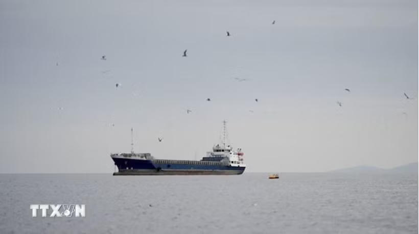 Tàu thủy di chuyển ở eo biển Hormuz, ngoài khơi tỉnh Musandam của Oman, ngày 12/4. (Ảnh: REUTERS/TTXVN)