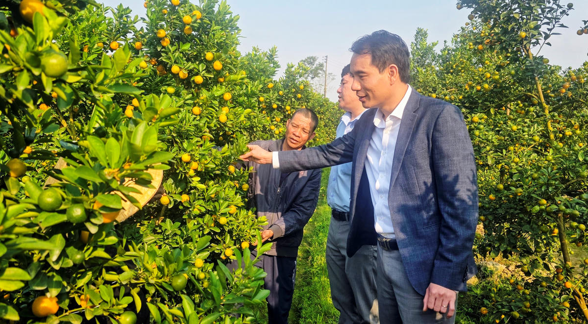 Thanh Hóa: Xây dựng Hợp Tiến thành “vùng quê đáng sống”