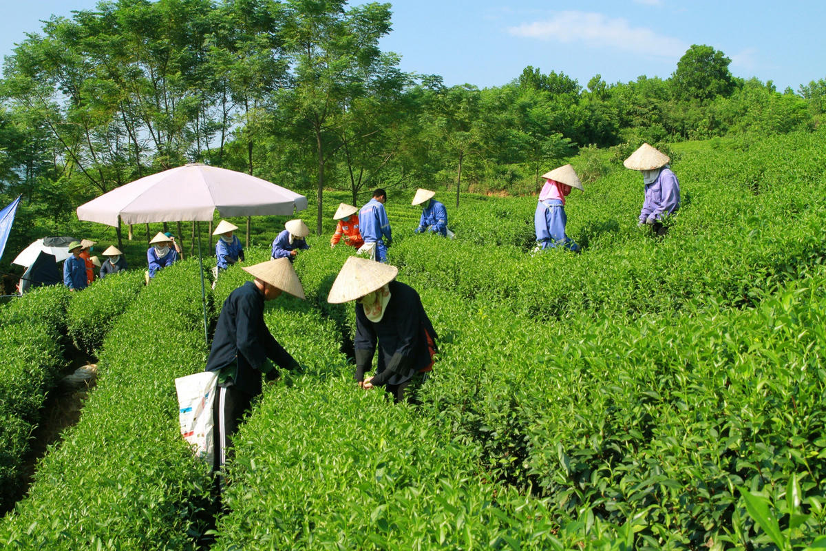 Masan Group góp phần giải quyết việc làm tại địa phương