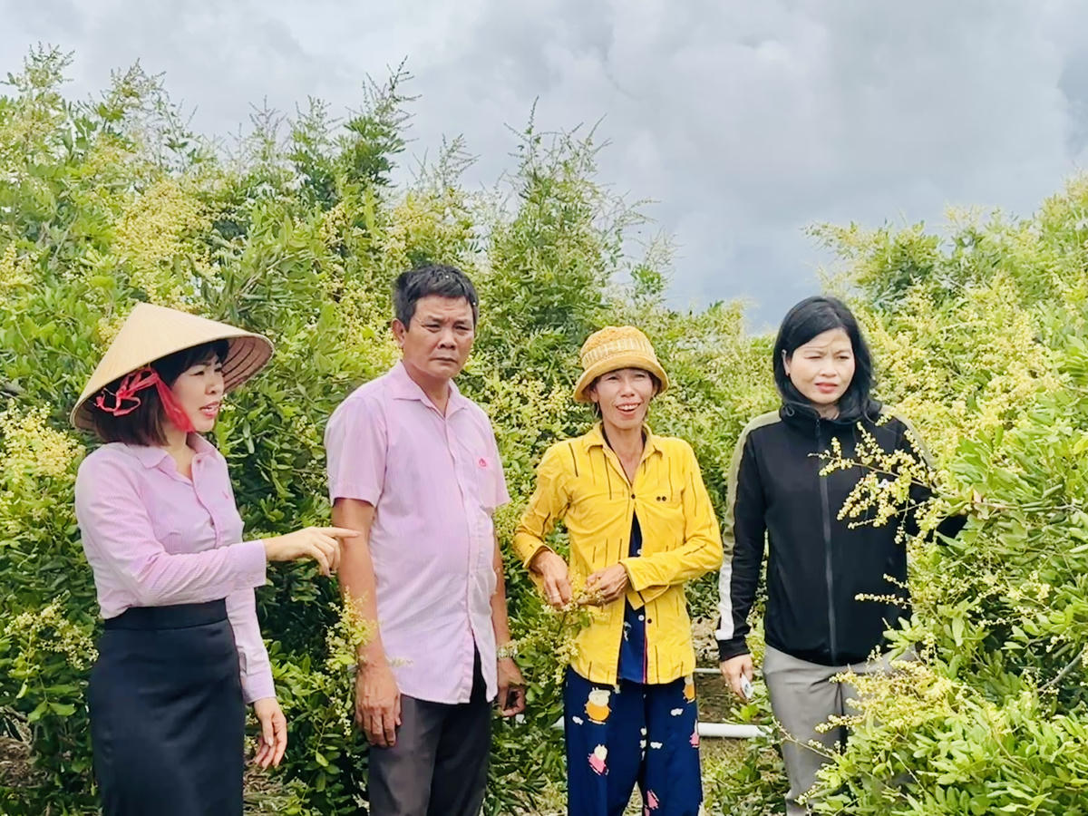 Vốn chính sách giúp người dân biên giới phát triển kinh tế.