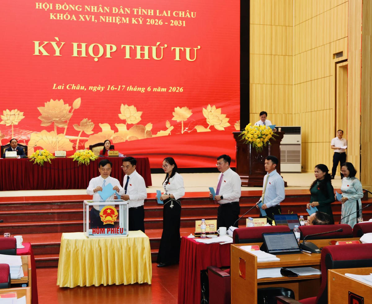 Các đại biểu bỏ phiếu bầu Ủy viên UBND tỉnh.