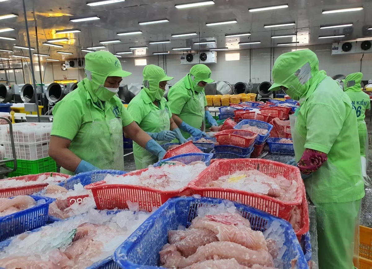 Cá tra là một trong những mặt hàng xuất khẩu chủ lực. Ảnh: BCT.