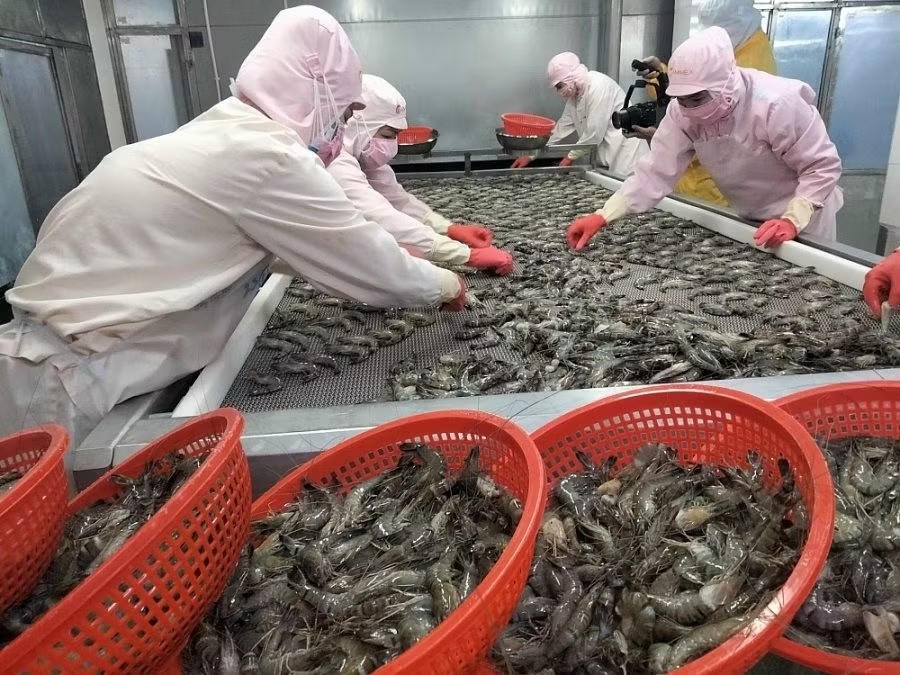 Phát triển Thủy sản bền vững đóng góp vào tăng trưởng ngành nông nghiệp và môi trường