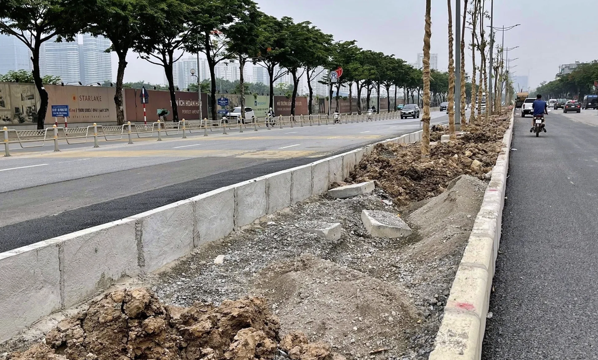 Hình ảnh cây xanh được trồng trên lớp đất mỏng phía trên nền đá dăm ở dải phân cách đường Võ Chí Công khiến dư luận băn khoăn về khả năng sinh trưởng và an toàn của cây. Ảnh: Nguyễn Thành.