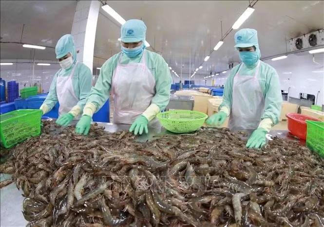 Phát triển Thủy sản bền vững đóng góp vào tăng trưởng ngành nông nghiệp và môi trường