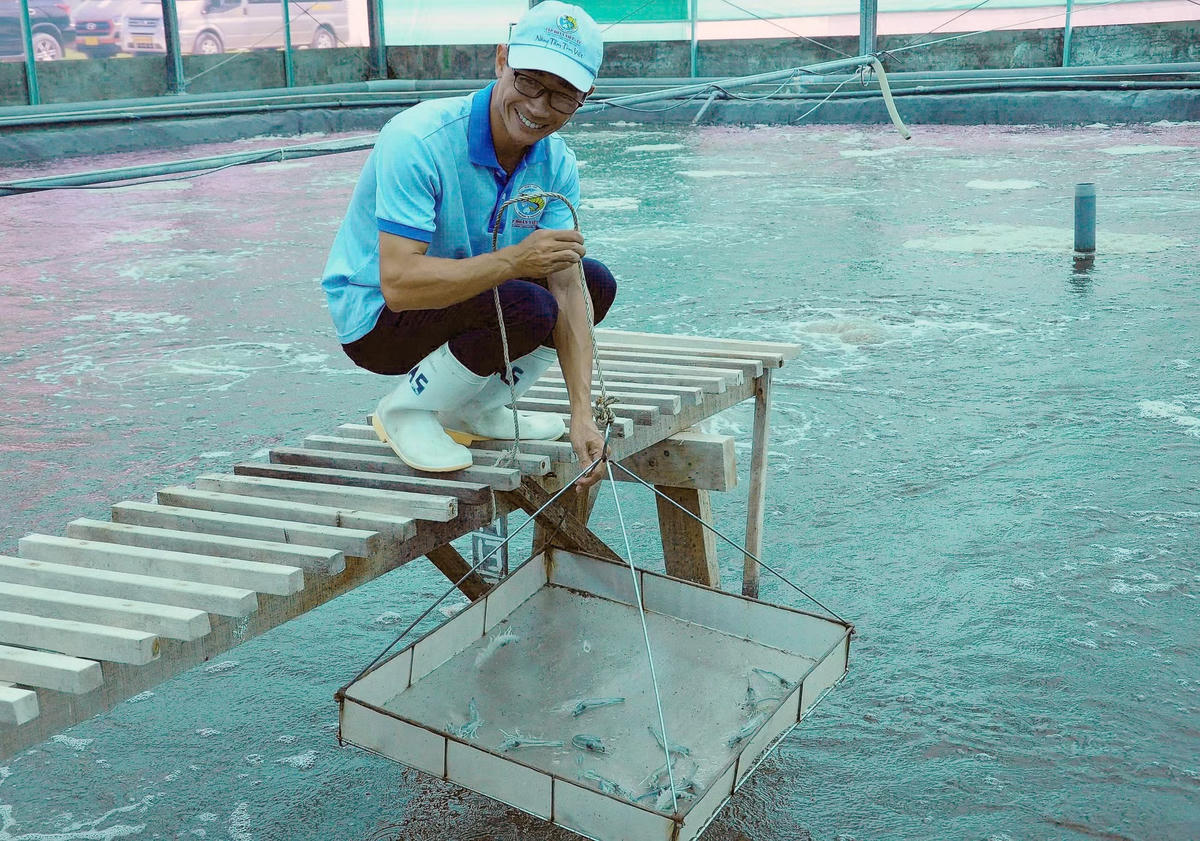 Phát triển Thủy sản bền vững đóng góp vào tăng trưởng ngành nông nghiệp và môi trường