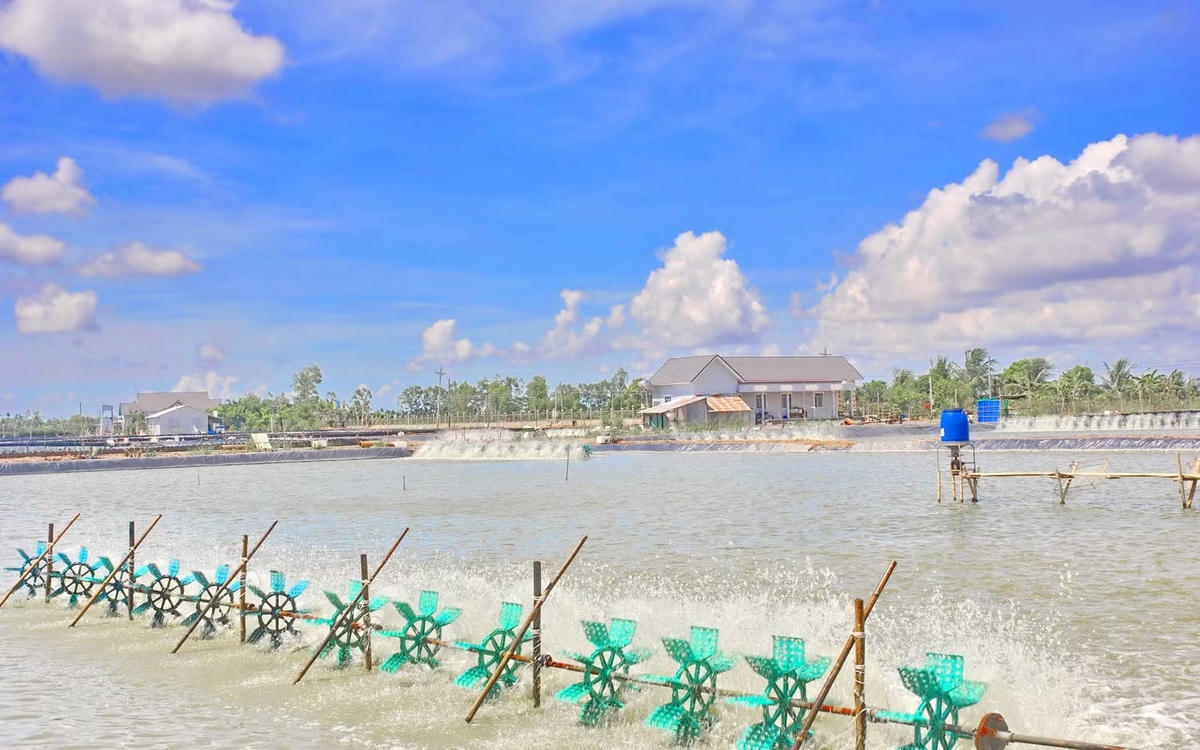 Phát triển Thủy sản bền vững đóng góp vào tăng trưởng ngành nông nghiệp và môi trường