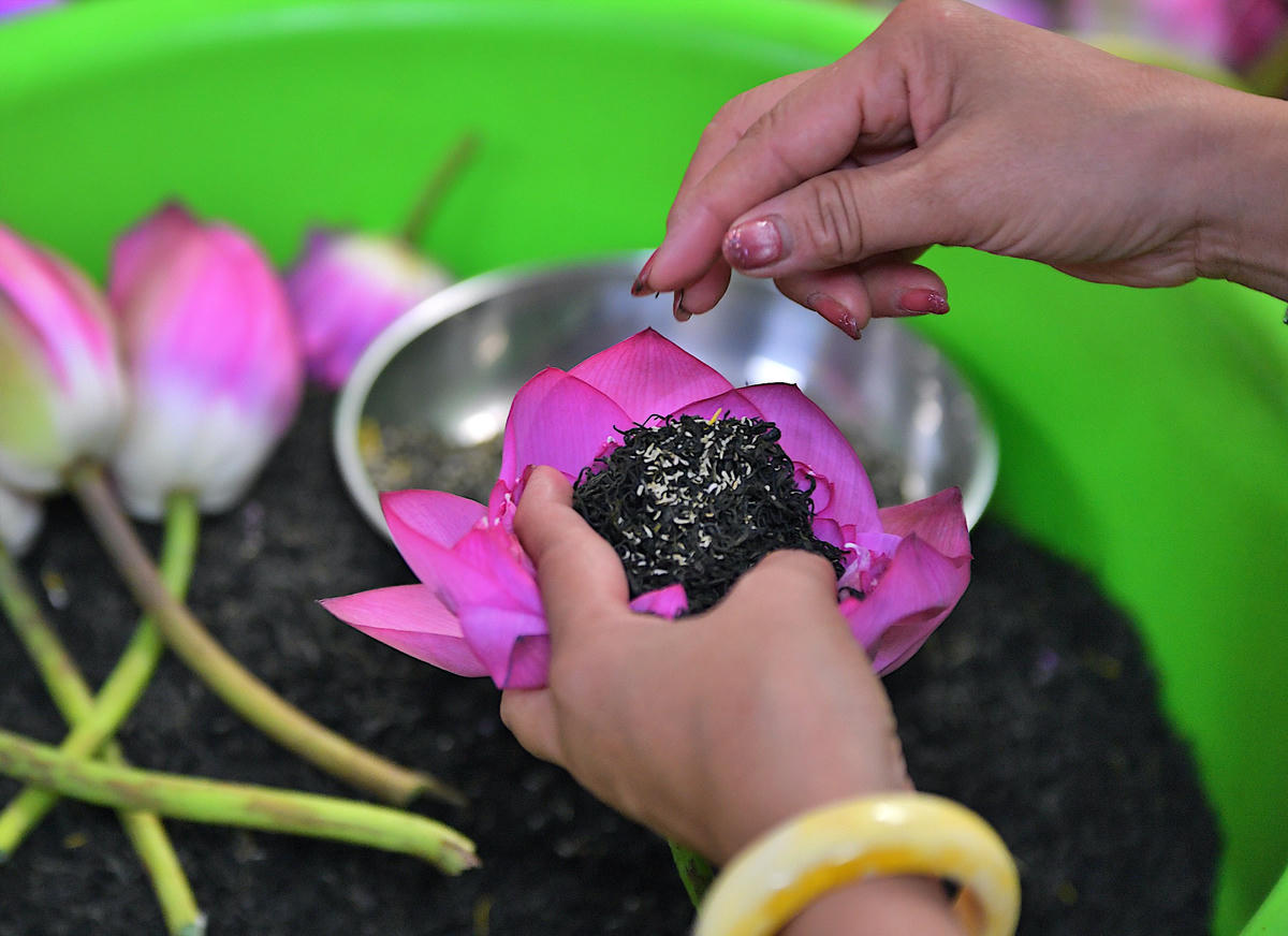 Những cánh trà thượng hạng đượm hương sen.