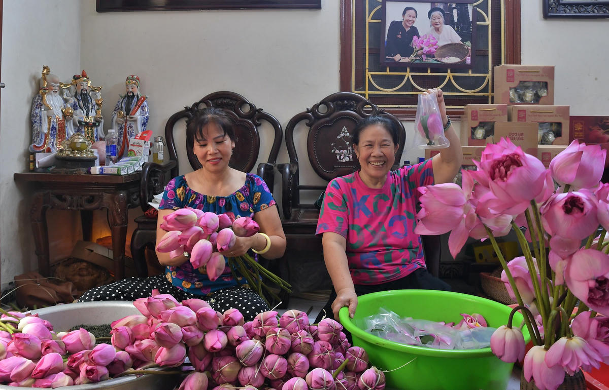 Nghệ thuật ướp trà sen Tây Hồ không chỉ tạo nên một thức uống tinh tế mà còn góp phần gìn giữ bản sắc văn hóa Hà Nội.