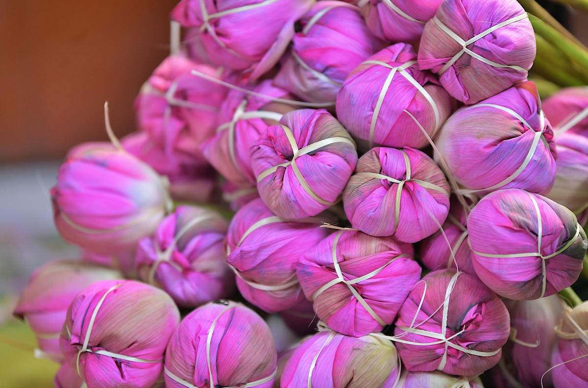 Thành phẩm trà sen Tây Hồ mang hương thơm thanh khiết của sen.