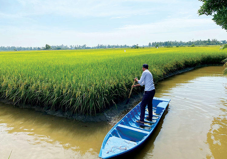 Động lực tăng trưởng từ kinh tế tuần hoàn