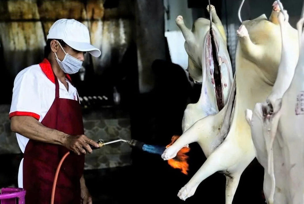 Tỉnh Khánh Hòa áp dụng quy trình chăn nuôi dê, cừu an toàn sinh học theo hướng Halal quốc tế.