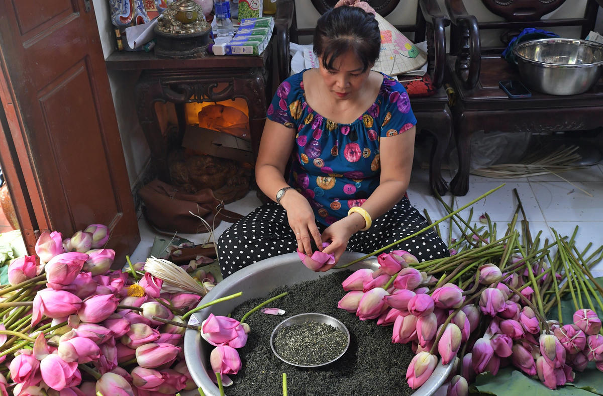 Trà được lựa chọn ướp trà phải là loại trà thượng hạng.