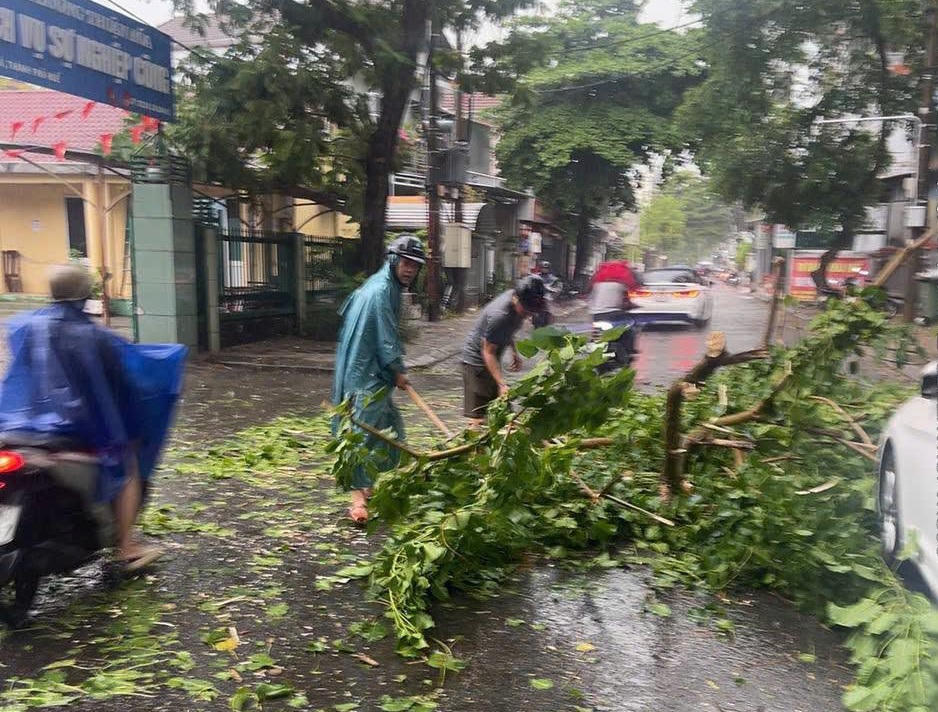 Dông lốc khiến nhiều cây xanh bị gãy đổ. Ảnh: Thuận Hóa.