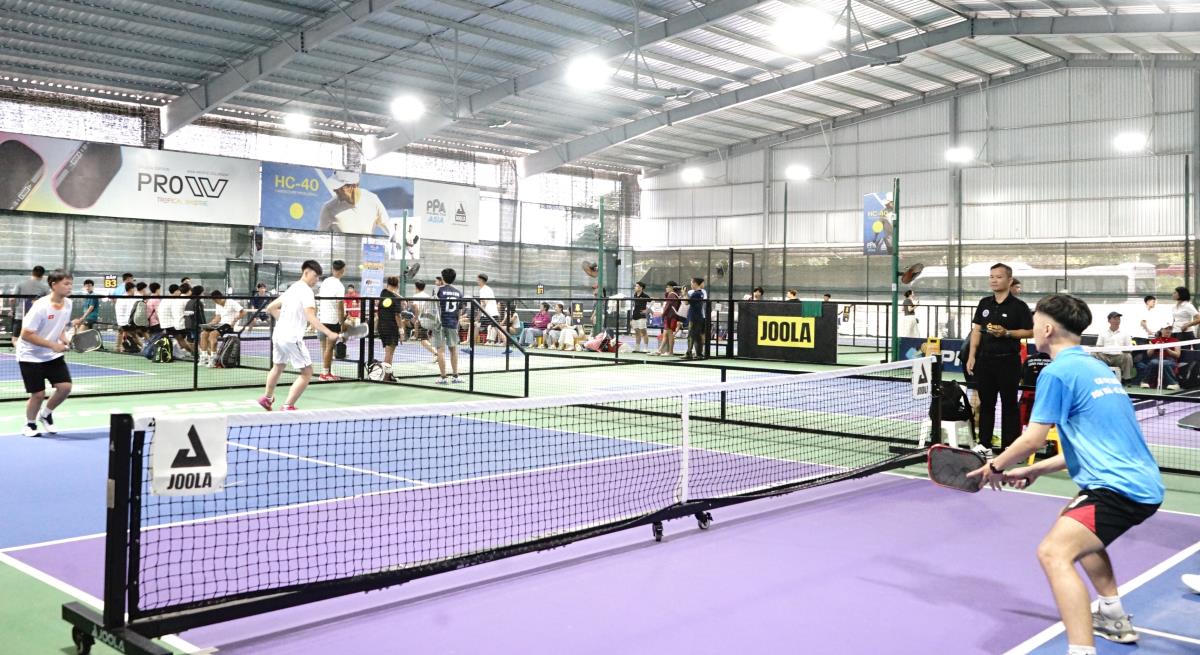 Tìm tiếm tài năng tại Giải Pickleball học sinh, sinh viên Đà Nẵng năm 2026