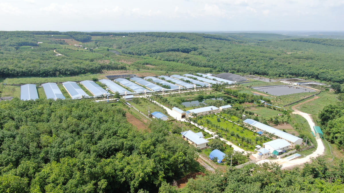 Không gian xanh tại một cơ sở chăn nuôi của C.P. Việt Nam. Ảnh: C.P. Việt Nam