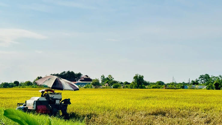 Chủ động ứng phó với hạn hán, xâm nhập mặn