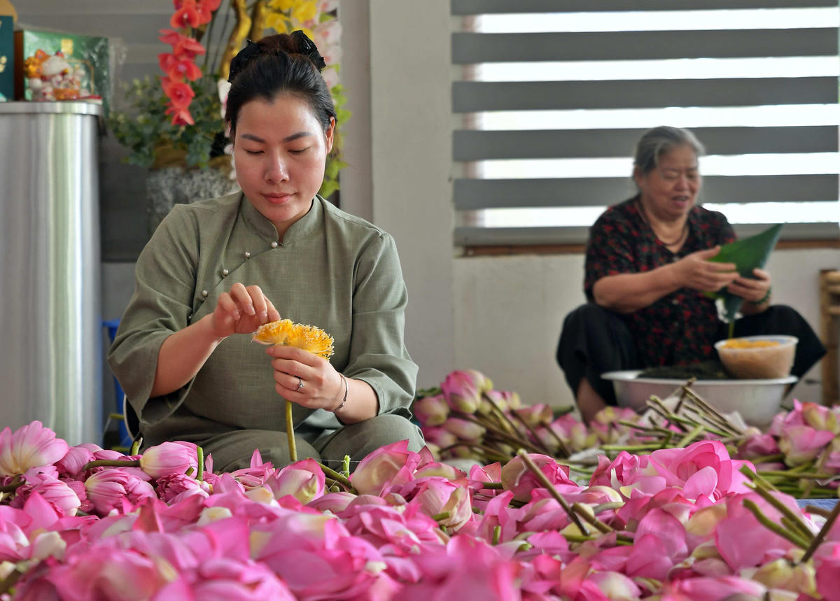 Nghề ướp trà sen Quảng An không chỉ là một nghề thủ công lâu đời mà còn là một phần quan trọng trong bản sắc văn hóa Thăng Long - Hà Nội.