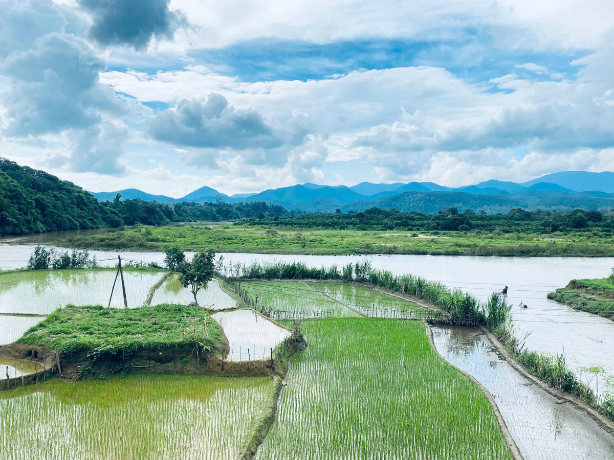 Những ô ruộng bậc thang.