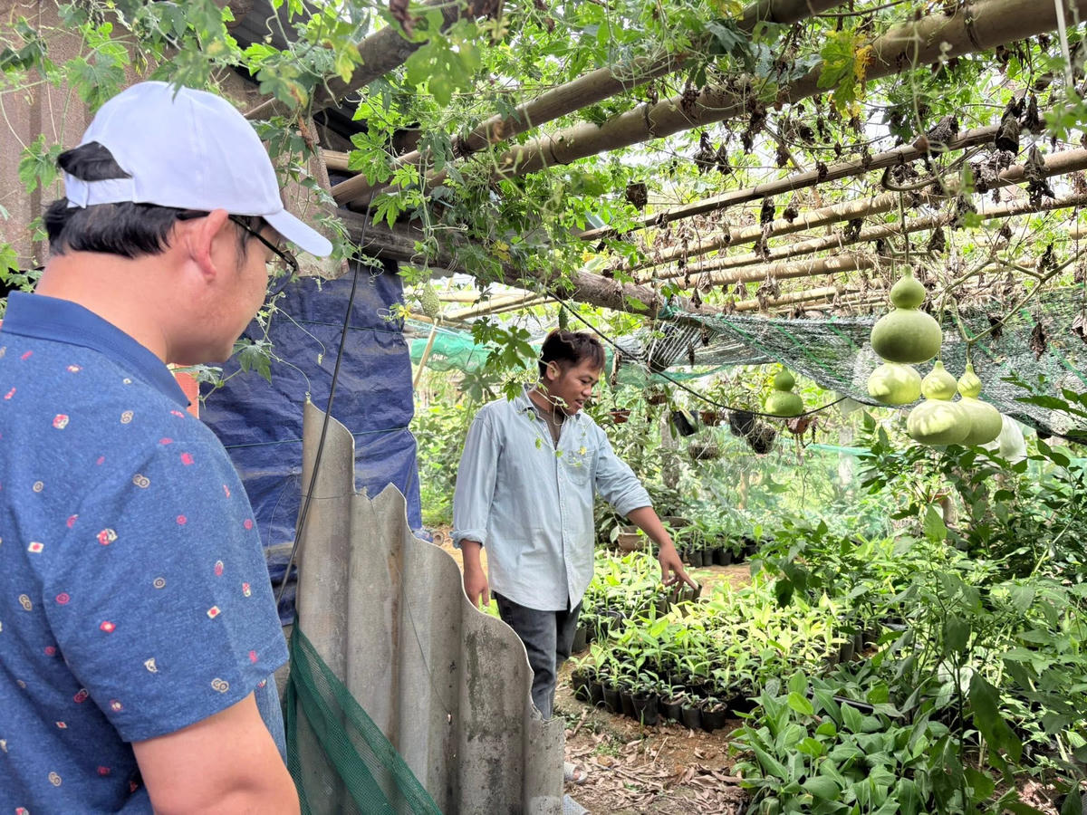 Nhiều mô hình phát triển kinh tế của người dân trên địa bàn phát huy hiệu quả, mang lại thu nhập cao, từng bước vươn lên thoát nghèo. Ảnh: A.L.