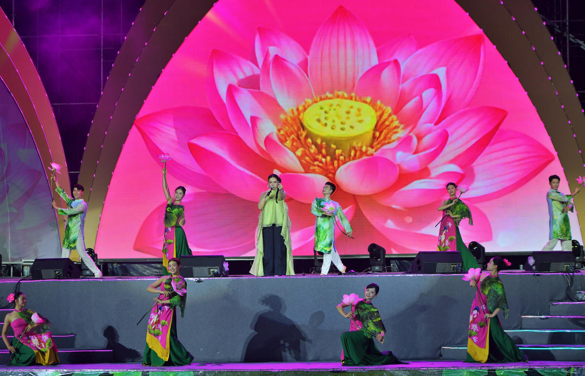 Những ca khúc tôn vinh hoa sen.