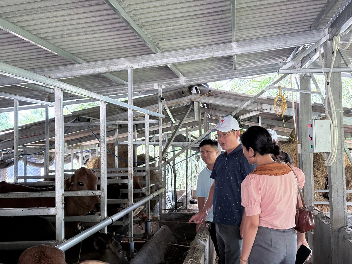 Lãnh đạo xã A Lưới 2 thăm các mô hình phát triển sản xuất tiêu biểu của địa phương. Ảnh: A.L.