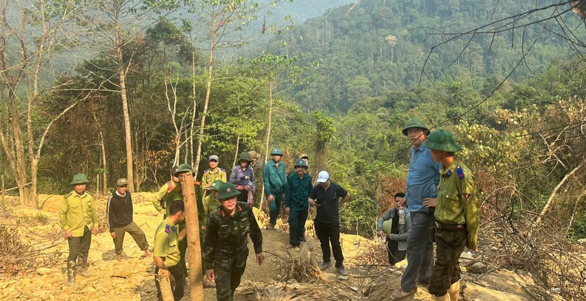 Nghệ An: Xử phạt đối tượng đào đãi vàng trái phép trong rừng phòng hộ
