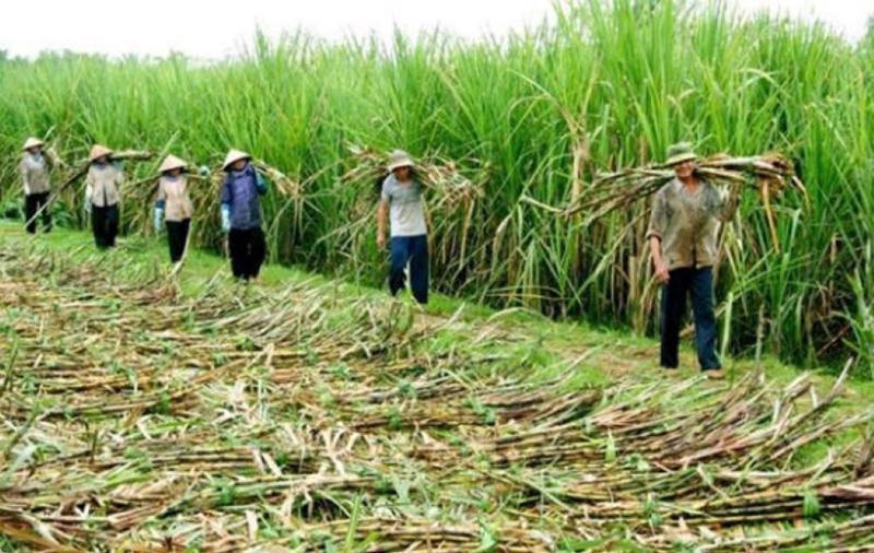 Gia hạn thời hạn nộp thuế giá trị gia tăng (GTGT), thuế TNDN (thu nhập doanh nghiệp) , thuế TNCN ( thu nhập cá nhân) và tiền thuê đất trong năm 2026. 