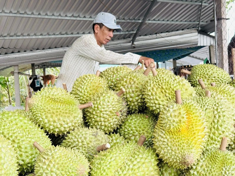 Xuất khẩu rau quả tiếp tục bứt phá