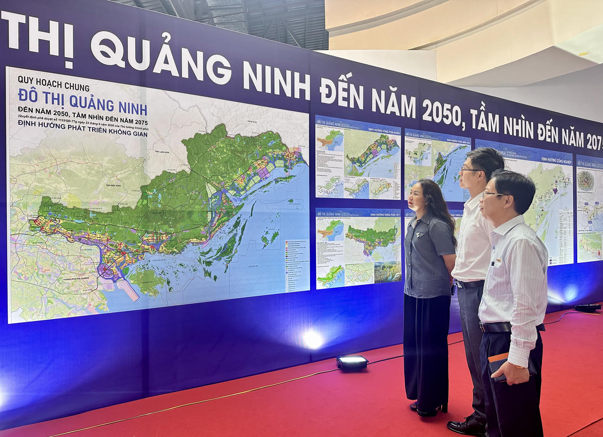 Đại diện các doanh nghiệp, đơn vị xem và nghiên cứu Quy hoạch chung đô thị tỉnh Quảng Ninh đến năm 2050, tầm nhìn đến năm 2075.