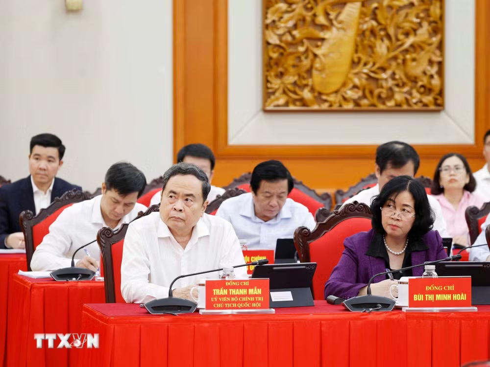 ttxvn-tong-bi-thu-chu-tich-nuoc-to-lam-chu-tri-phien-hop-thu-nhat-ban-chi-dao-trung-uong-ve-doi-ngoai-va-hoi-nhap-quoc-te3.jpg