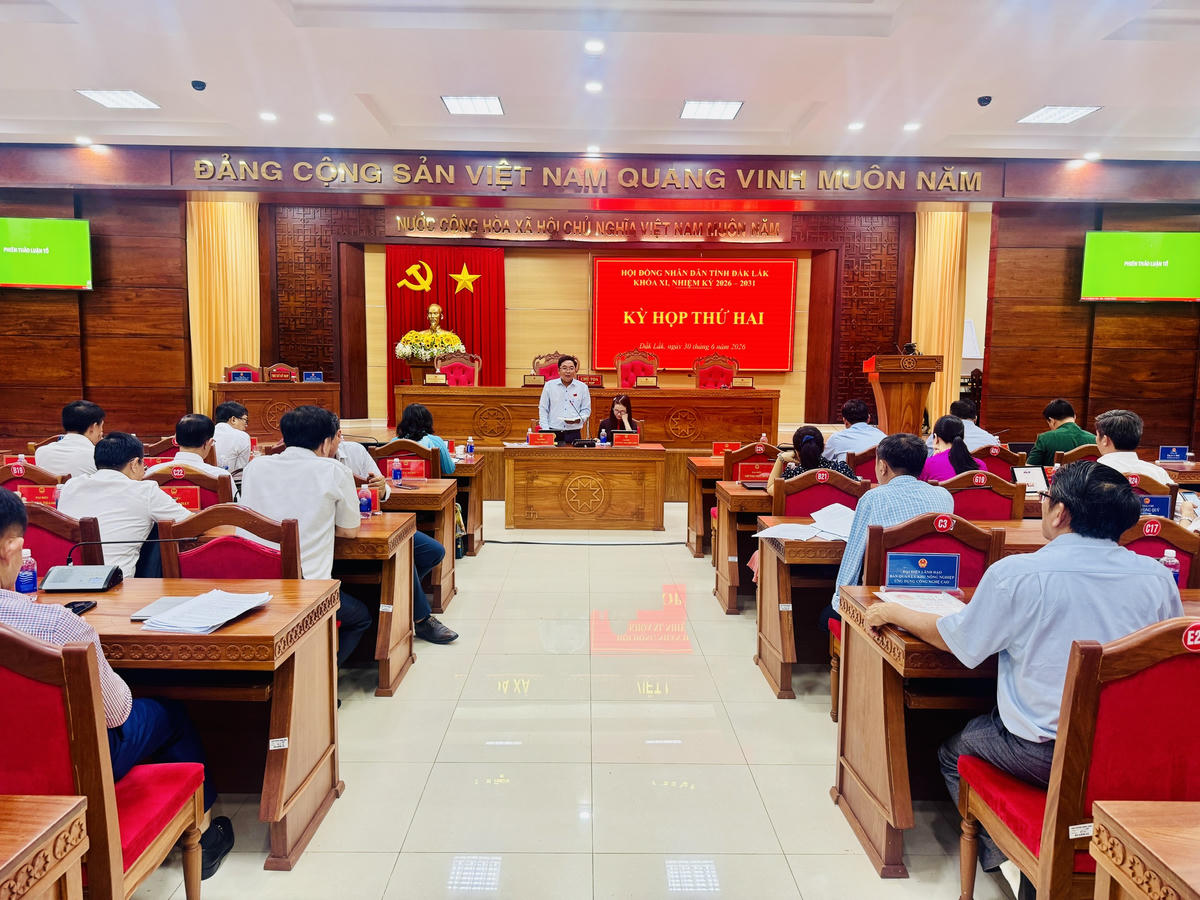 Toàn cảnh phiên thảo luận. Ảnh: Thanh Nga.