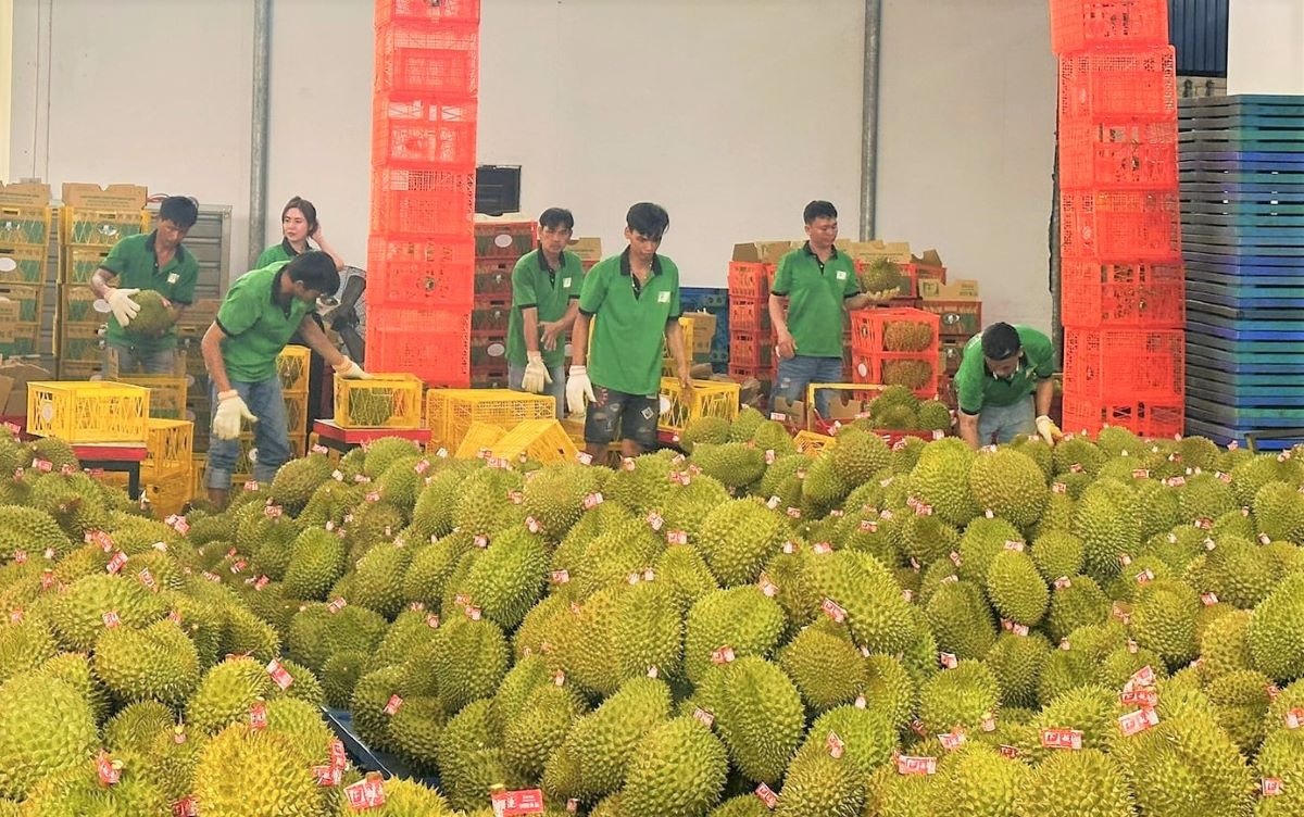 Bộ Nông nghiệp và Môi trường, tiết kiệm trên 5.300 tỷ đồng chi phí tuân thủ cho người dân và DN. 
