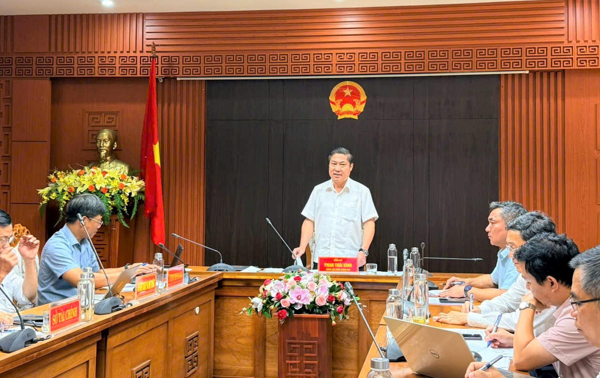 Phó Chủ tịch UBND TP Đà Nẵng Phan Thái Bình phát biểu tại buổi làm việc. Ảnh: CĐ.