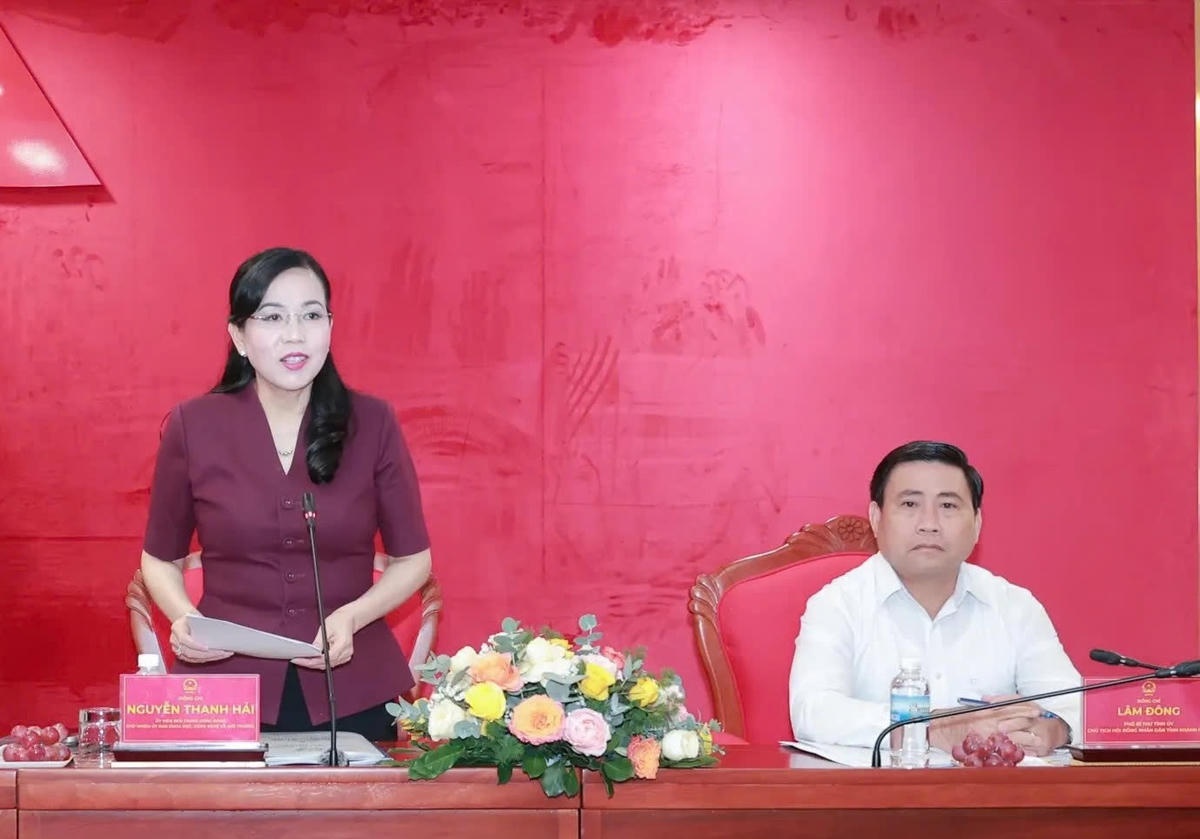 Bà Nguyễn Thanh Hải, Chủ nhiệm Ủy ban Khoa học, Công nghệ và Môi trường của Quốc hội phát biểu tại buổi làm việc.