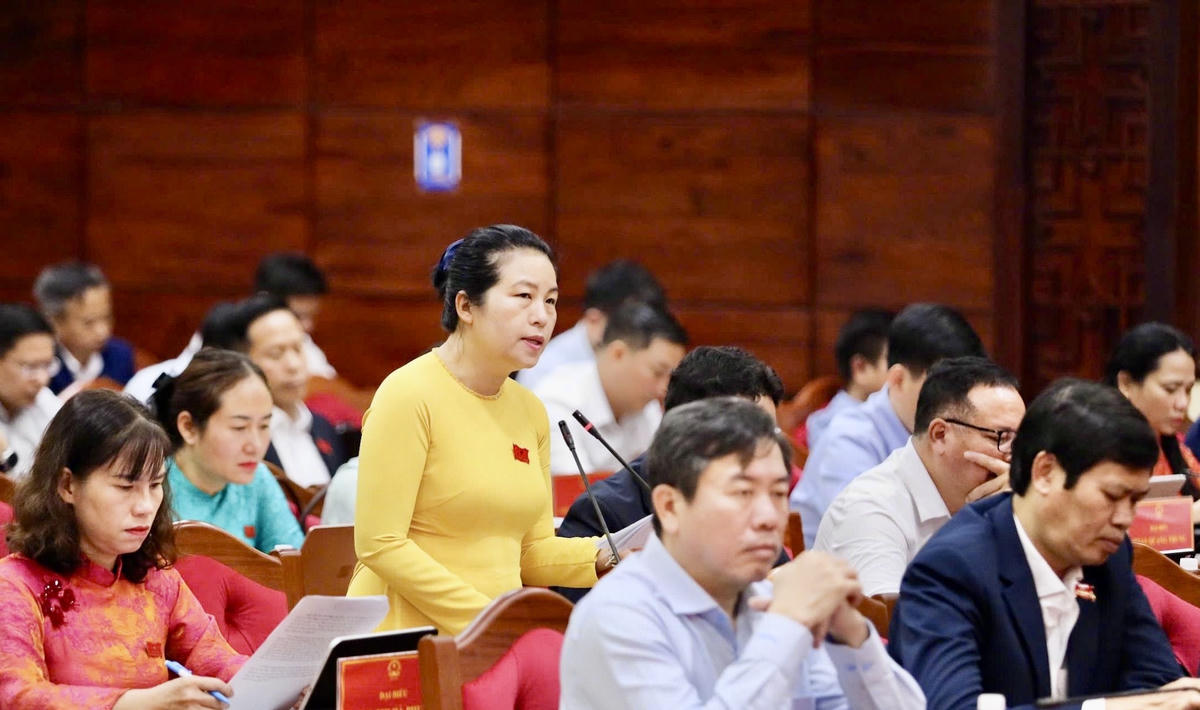 Đại biểu Đỗ Thị Như Tình chất vấn tại kỳ họp HĐND tỉnh vừa qua. Ảnh: Thanh Nga.