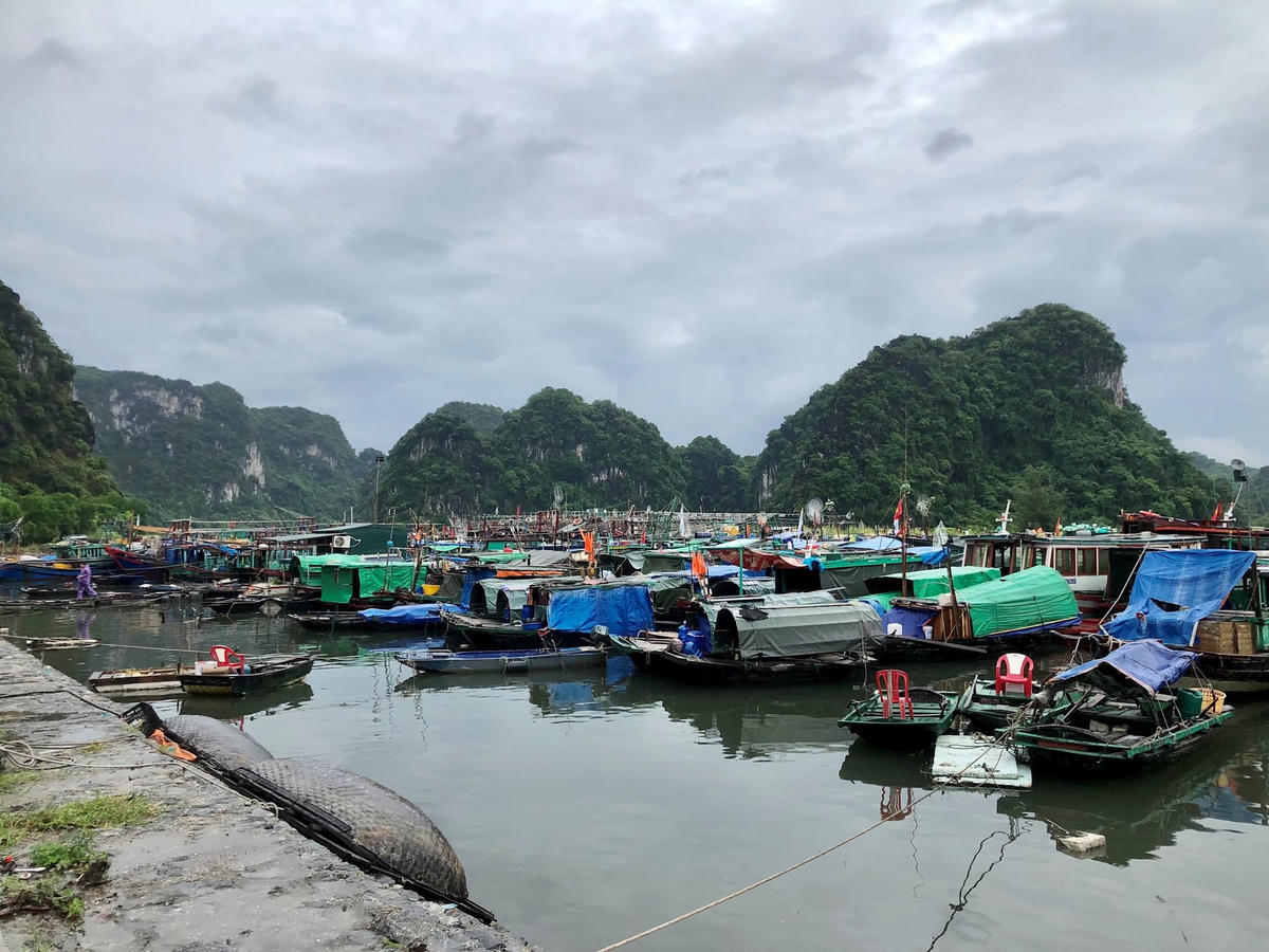 Tỉnh Quảng Ninh tạm ngừng cấp phép hoạt động tàu thuyền từ 17h ngày 3/7.