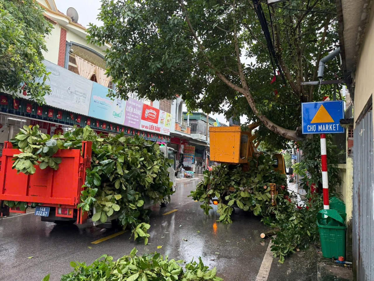 Quảng Ninh: Bảo đảm an toàn tính mạng và tài sản nhân dân trước bão số 1