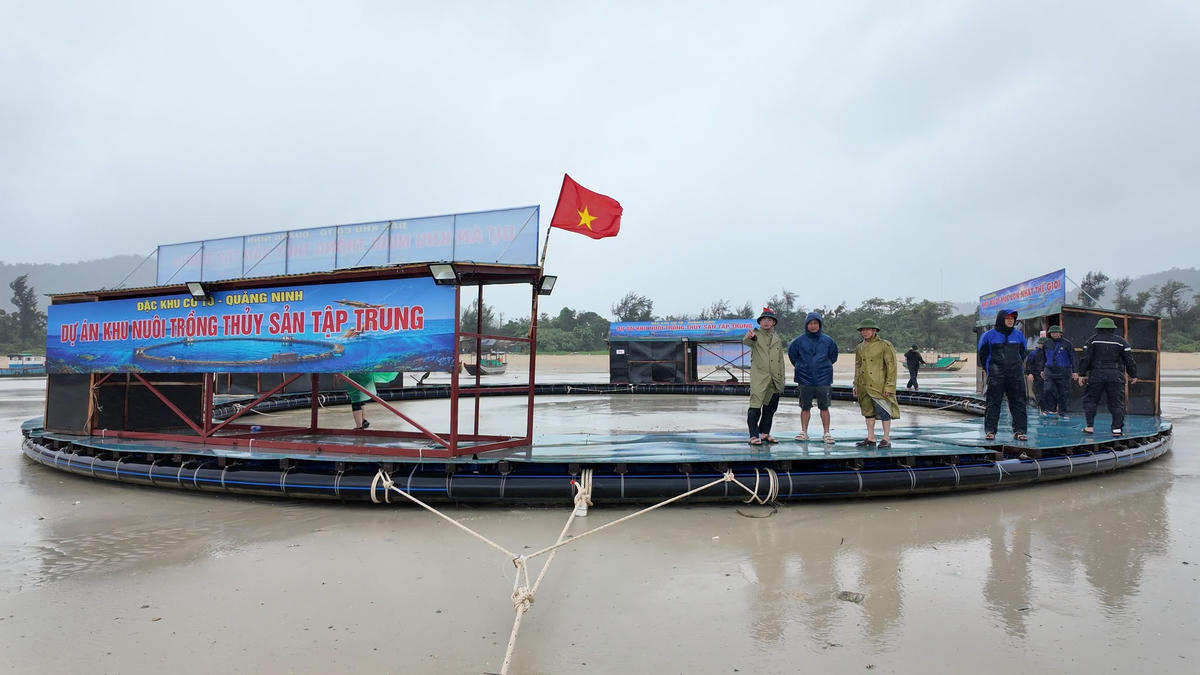 Quảng Ninh: Bảo đảm an toàn tính mạng và tài sản nhân dân trước bão số 1